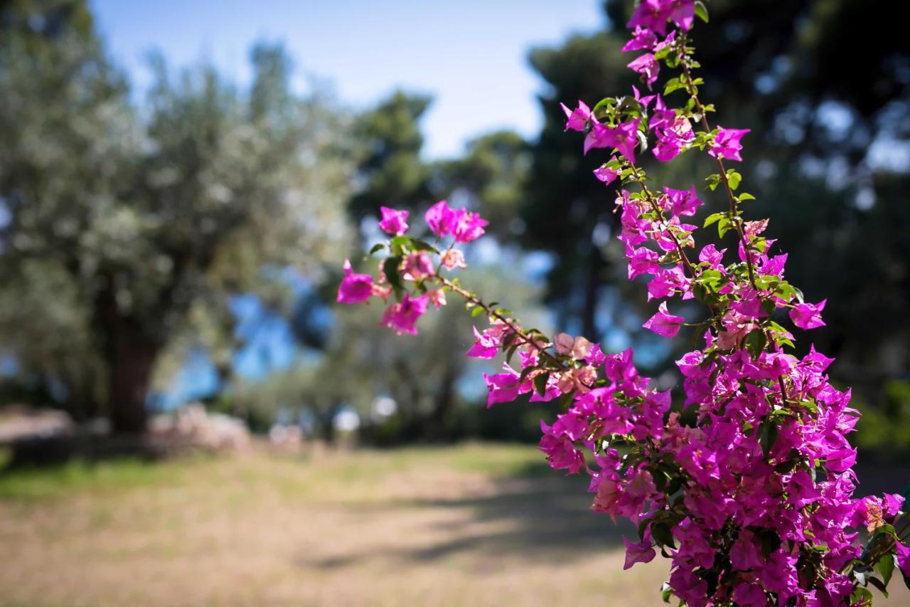 Chalkidiki Beachfront Haven - Perfect Location Nikiti  Exterior foto